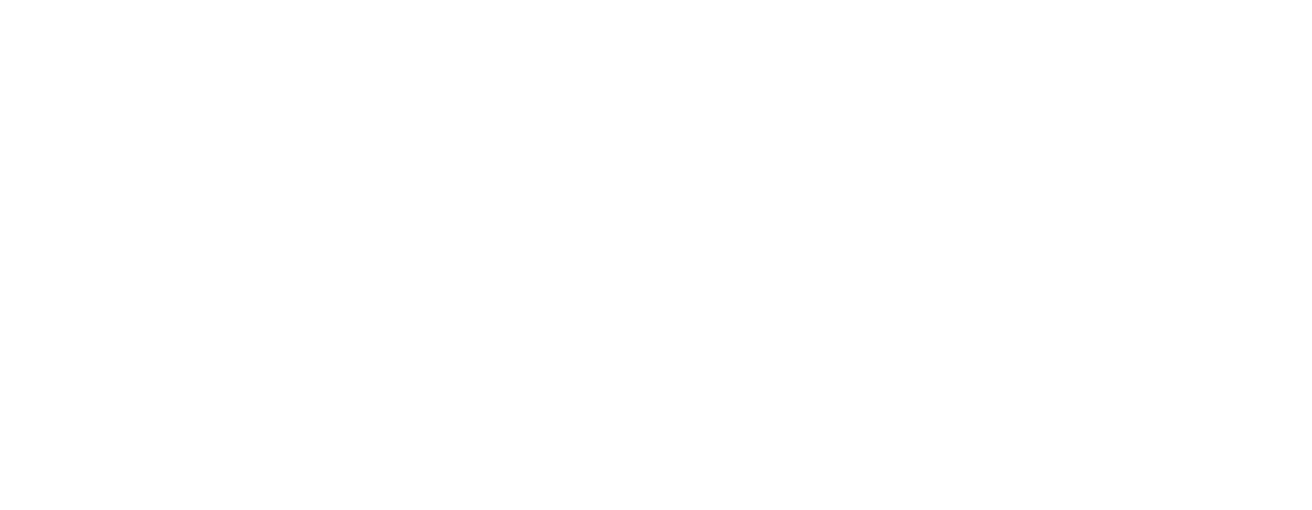 css scaled